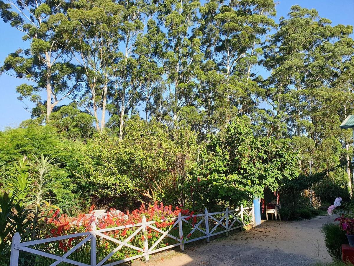 Panorama Green View Hotel Nuwara Eliya Dış mekan fotoğraf